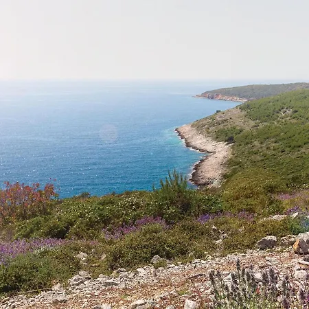 Gorgeous In Appartement Premantura